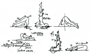 Yoga of Asana Mechanics