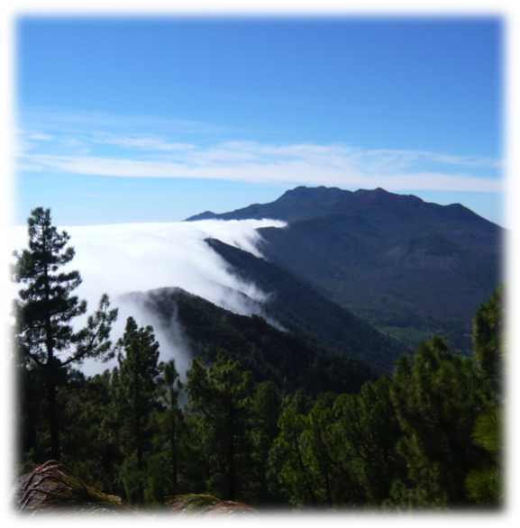 Wolken zu Klarheit