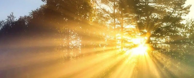 Klaus Workshop März 2026